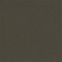 Dollaro - Brown
