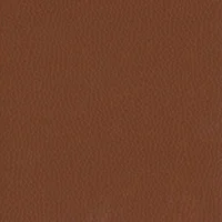 Dollaro - Chestnut