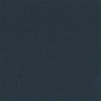 Dollaro - Dark Blue