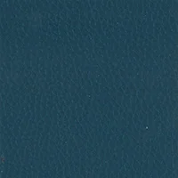Dollaro - Petrol