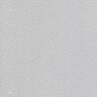 Dollaro - Silver