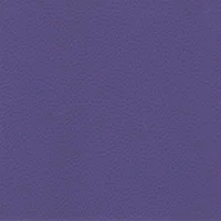 Dollaro - Amethyst