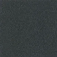Dollaro - Anthracite