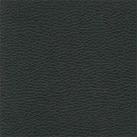 Dollaro - Black