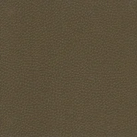 Dollaro - Bronze