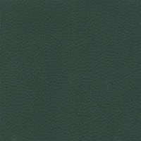 Dollaro - Green