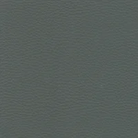 Dollaro - Gunmetal