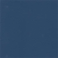 Dollaro - Marine Blue