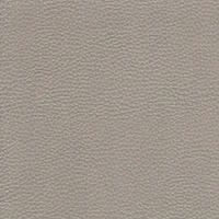 Dollaro - Pewter
