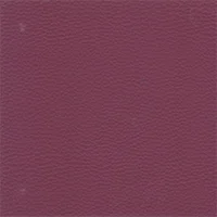 Dollaro - Plum