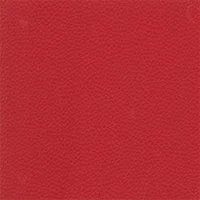 Dollaro - Red