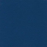 Dollaro - Royal Blue