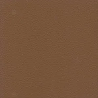 Dollaro - Rust
