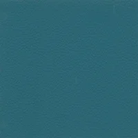Dollaro - Teal