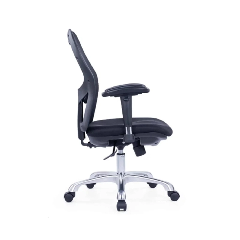 Rica Ergonomic Chair