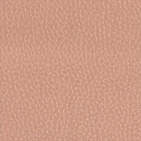 Dollaro - Rose Gold