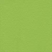 Dollaro - Apple Green