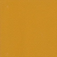 Dollaro - Mustard