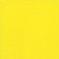 Dollaro - Yellow