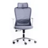 Cosy Home/Office Ergonomic Chair for Long Hours