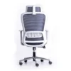 Cosy Home/Office Ergonomic Chair for Long Hours