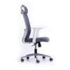 Cosy Home/Office Ergonomic Chair for Long Hours