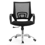 OZ Ergonomic Chair