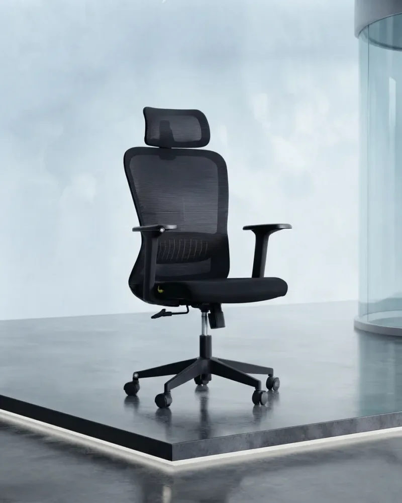 Cozy Black Ergonomic Chair 1