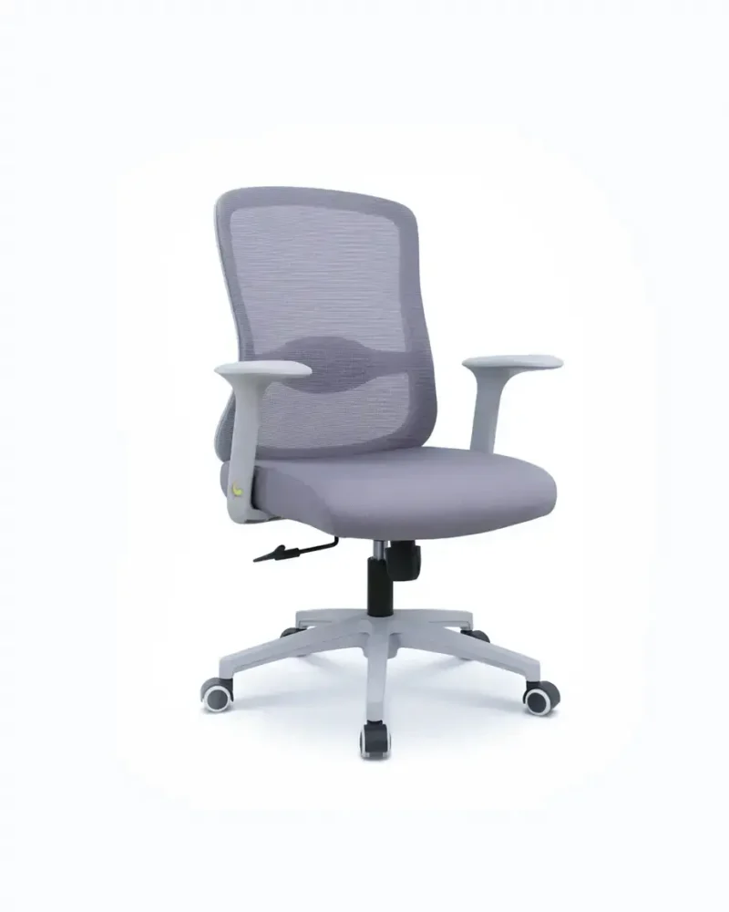 New Lyon Grey Ergonomic Chair