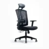 Ashe Mesh Chair in black with ergonomic design and adjustable features.