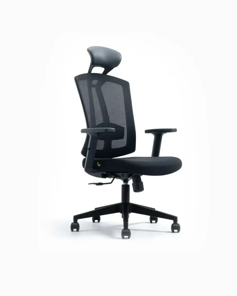 Ashe Mesh Chair in black with ergonomic design and adjustable features.