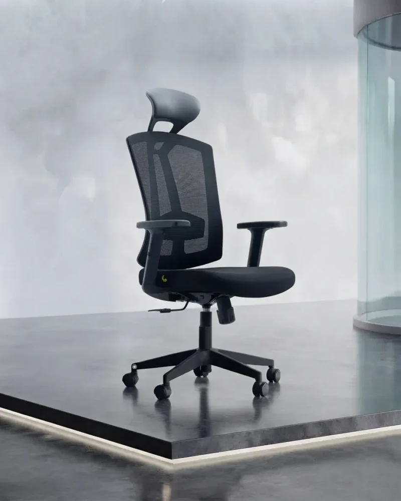 Ashe-Black-Ergonomic-Chair-1