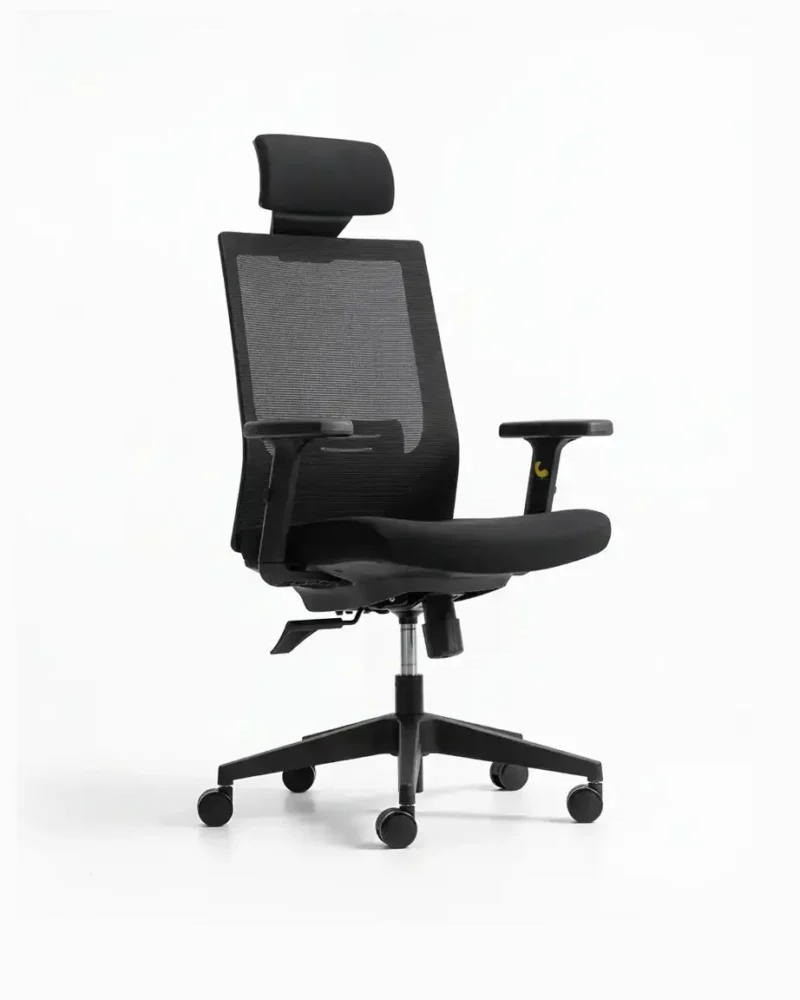 Zin Mesh Chair with adjustable features in black.