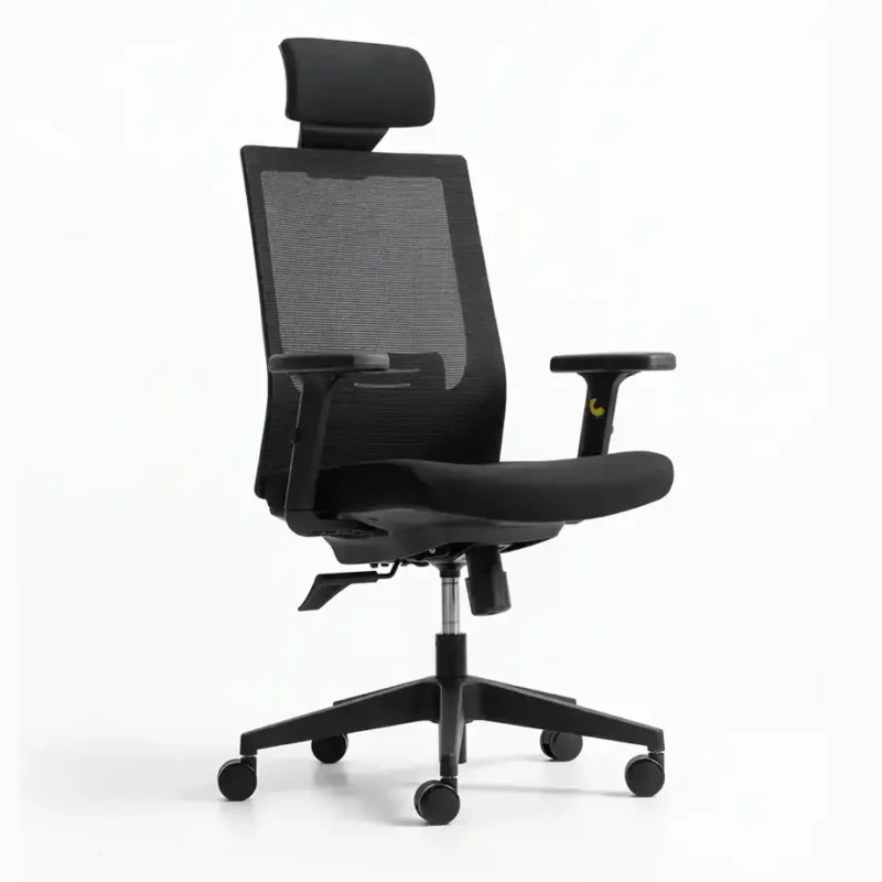 Zin Mesh Chair with adjustable features in black.