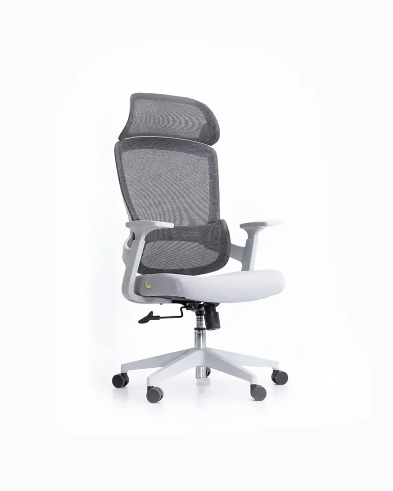 Core Grey Ergonomic Chair