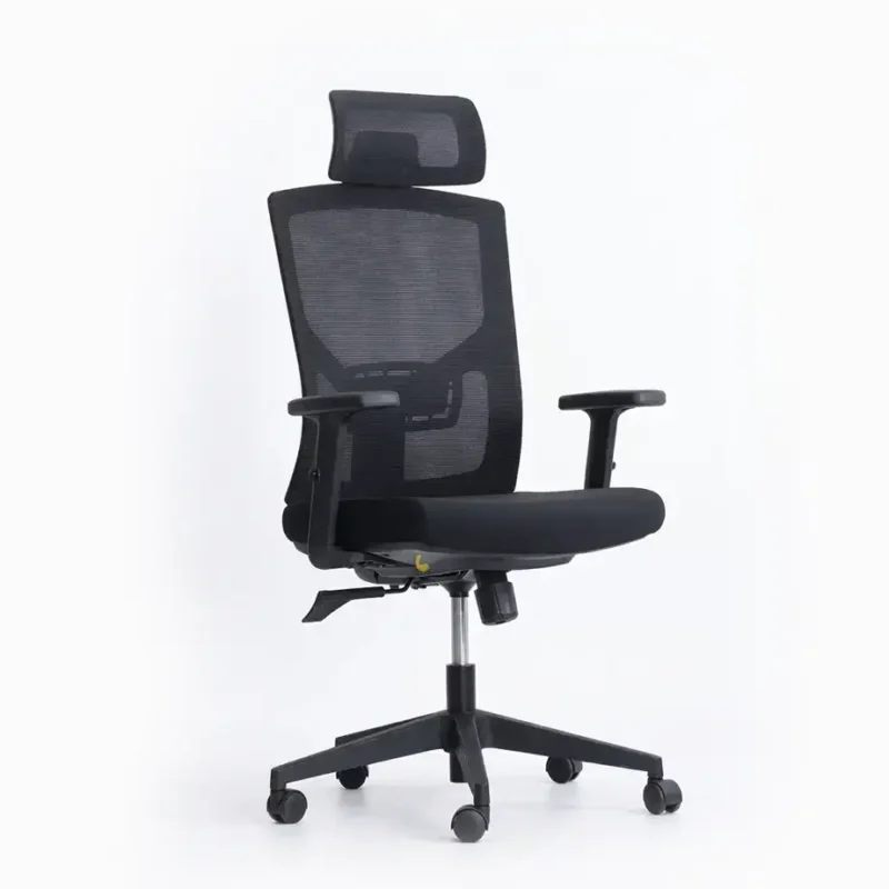 Nile Black Ergonomic Chair