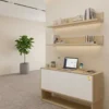 Office Furniture Storage Cabinet