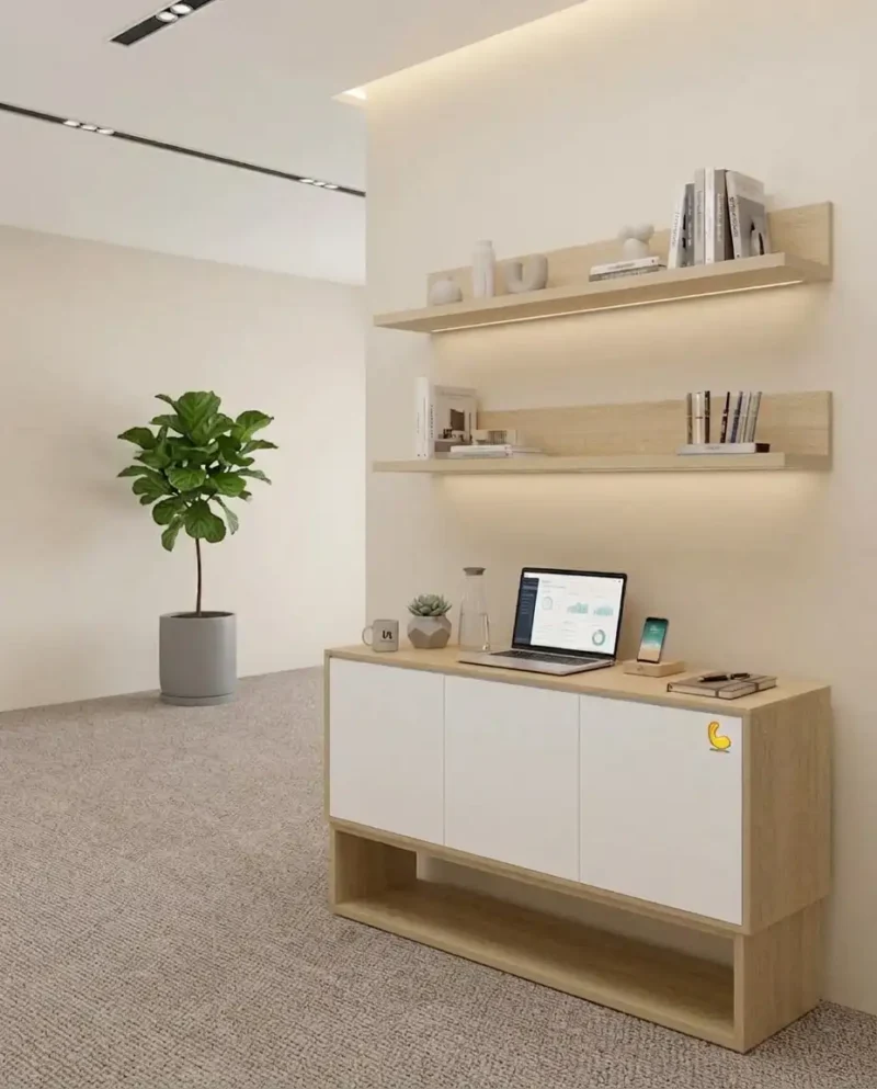 Office Furniture Storage Cabinet