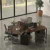 Liza workstation Desk, Furniture for office