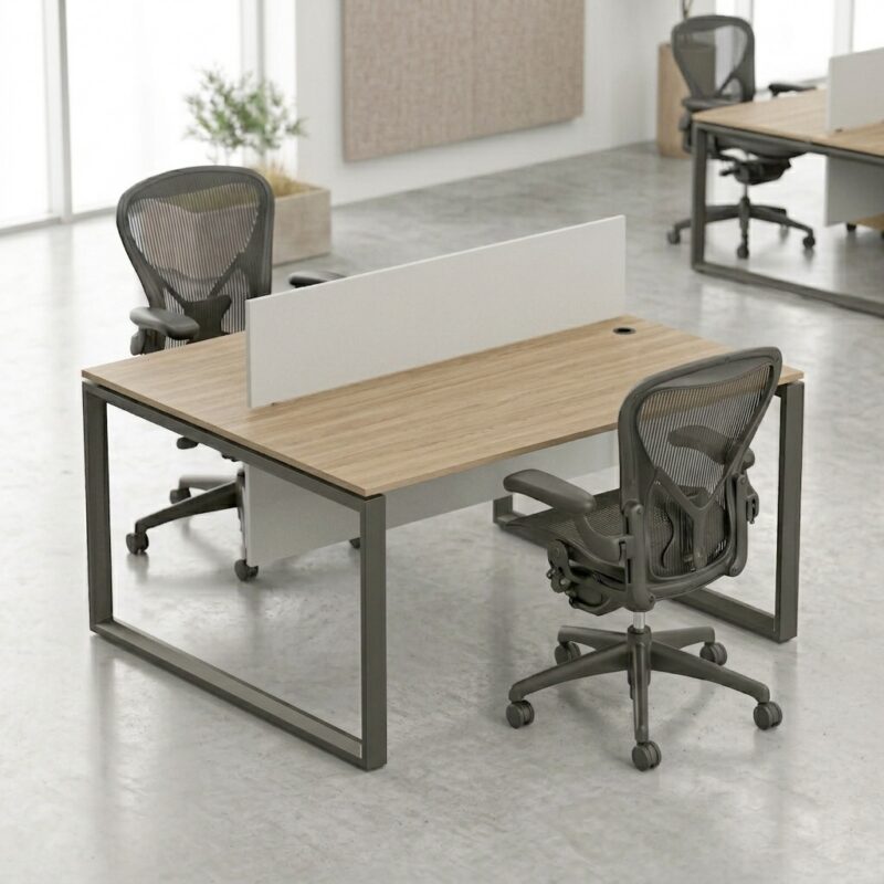 Duo Workstation Face to Face for 2 People